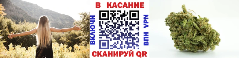 Где купить Оренбург Галлюциногенные грибы  Cocaine  Меф  ГАШ 