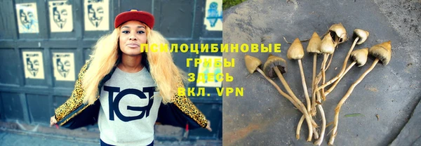 Альфа ПВП Киров