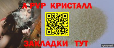 стаф Кинель