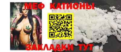 стаф Кинель